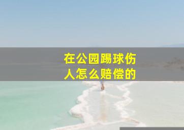 在公园踢球伤人怎么赔偿的