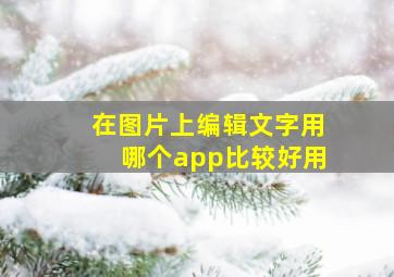 在图片上编辑文字用哪个app比较好用