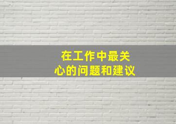 在工作中最关心的问题和建议