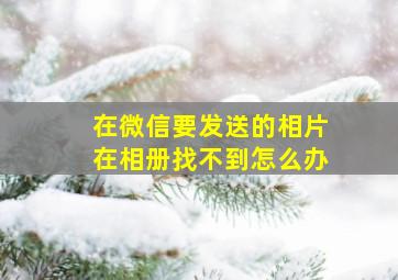 在微信要发送的相片在相册找不到怎么办