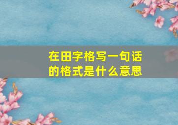 在田字格写一句话的格式是什么意思