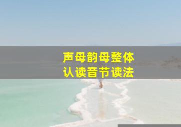 声母韵母整体认读音节读法