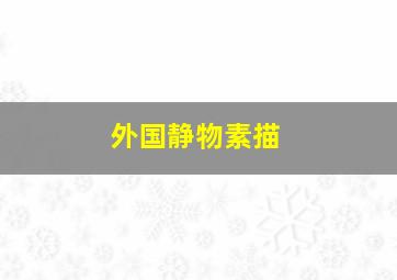 外国静物素描