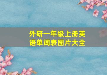 外研一年级上册英语单词表图片大全