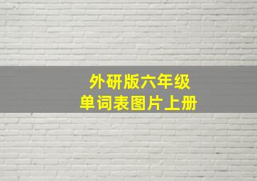 外研版六年级单词表图片上册