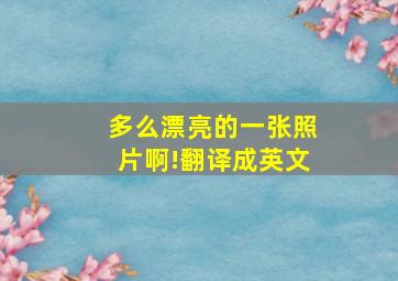 多么漂亮的一张照片啊!翻译成英文