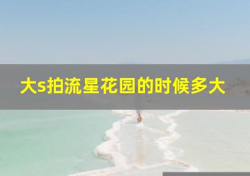 大s拍流星花园的时候多大