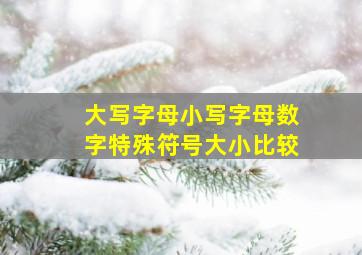 大写字母小写字母数字特殊符号大小比较