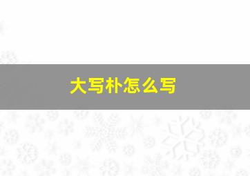 大写朴怎么写