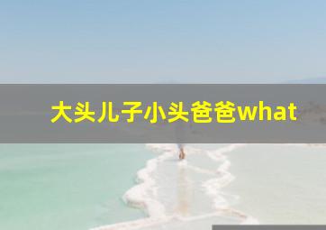 大头儿子小头爸爸what