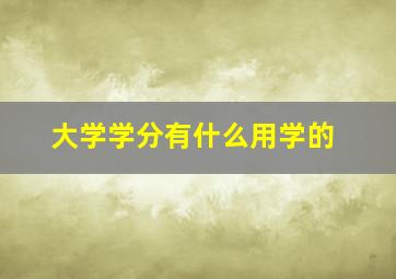 大学学分有什么用学的