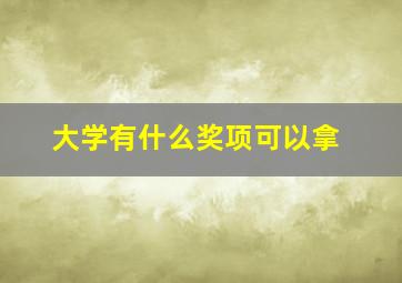 大学有什么奖项可以拿