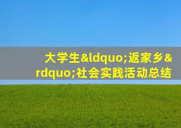 大学生“返家乡”社会实践活动总结