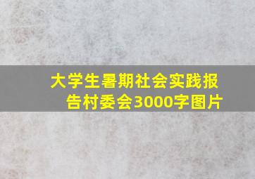 大学生暑期社会实践报告村委会3000字图片