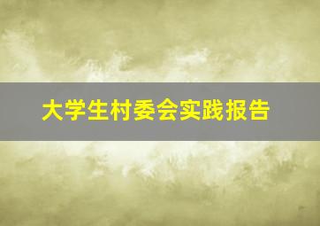 大学生村委会实践报告