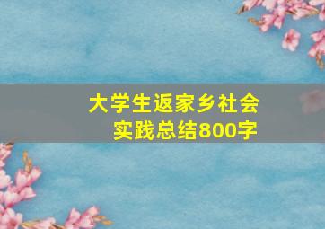 大学生返家乡社会实践总结800字