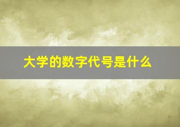 大学的数字代号是什么