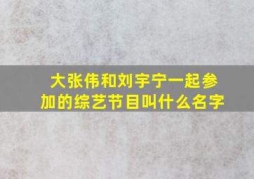 大张伟和刘宇宁一起参加的综艺节目叫什么名字