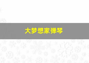 大梦想家弹琴