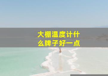 大棚温度计什么牌子好一点