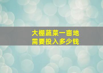 大棚蔬菜一亩地需要投入多少钱