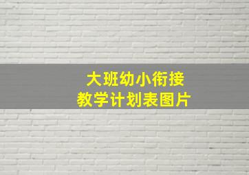 大班幼小衔接教学计划表图片