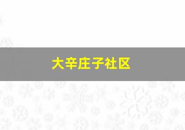 大辛庄子社区