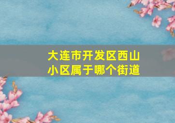 大连市开发区西山小区属于哪个街道