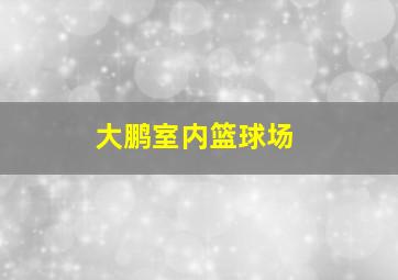 大鹏室内篮球场