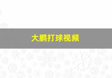 大鹏打球视频