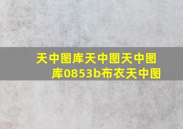 天中图库天中图天中图库0853b布衣天中图