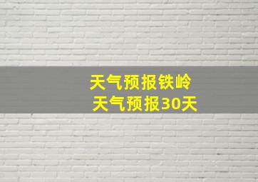 天气预报铁岭天气预报30天