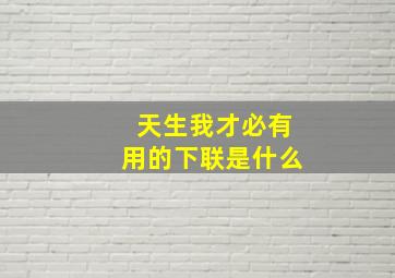 天生我才必有用的下联是什么