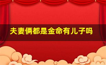 夫妻俩都是金命有儿子吗