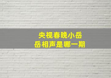 央视春晚小岳岳相声是哪一期