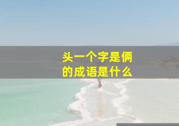 头一个字是俩的成语是什么