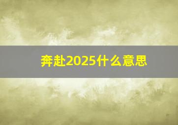 奔赴2025什么意思