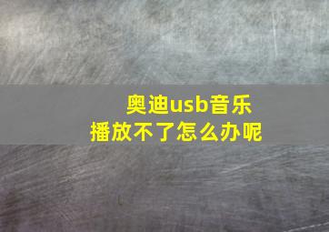 奥迪usb音乐播放不了怎么办呢