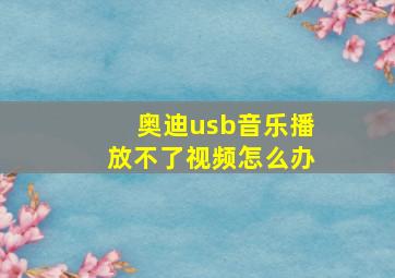 奥迪usb音乐播放不了视频怎么办