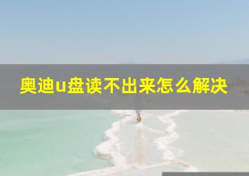 奥迪u盘读不出来怎么解决