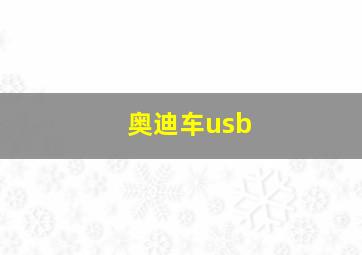 奥迪车usb