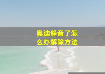 奥迪静音了怎么办解除方法