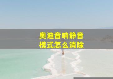 奥迪音响静音模式怎么消除