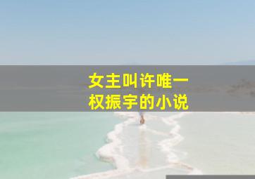 女主叫许唯一权振宇的小说