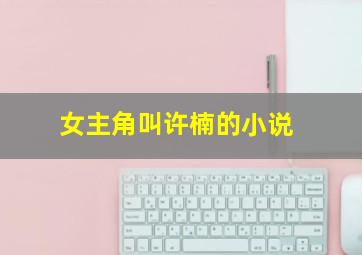 女主角叫许楠的小说