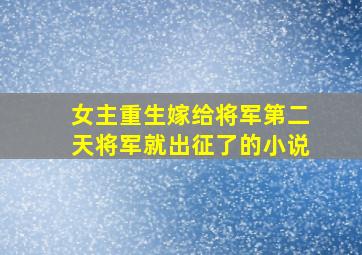 女主重生嫁给将军第二天将军就出征了的小说