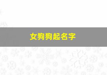 女狗狗起名字