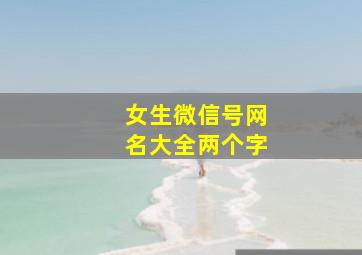 女生微信号网名大全两个字