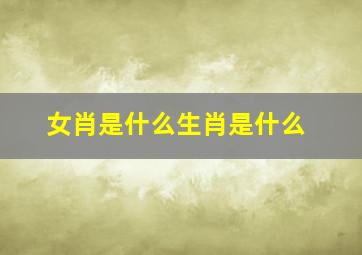 女肖是什么生肖是什么