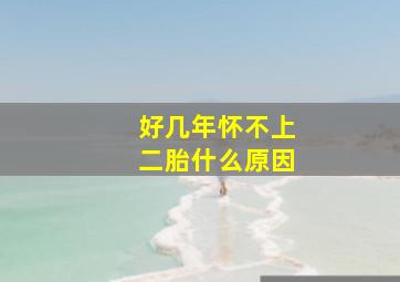 好几年怀不上二胎什么原因